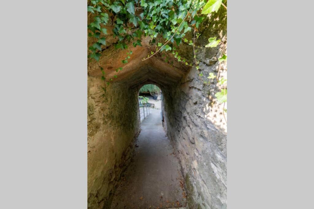 Maison Troglodytique Doue La Fontaine Ngoại thất bức ảnh